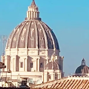 Domes St Peter Vatican 